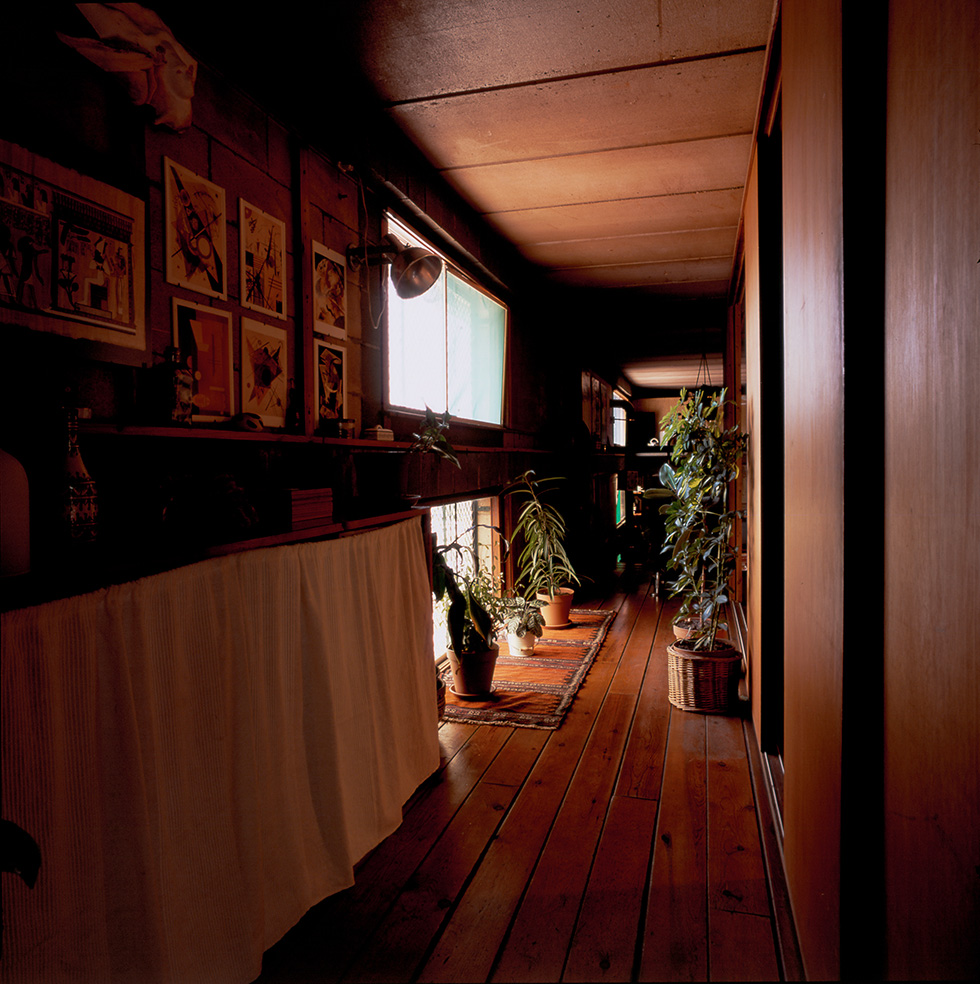 Hallway with wooden floors, potted plants, framed pictures on the wall, and soft natural light filtering through floor-to-ceiling windows.