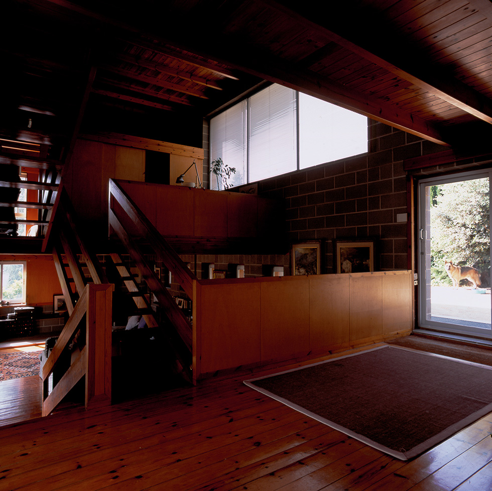 Dimly lit wooden interior with an open split-level space, a staircase joining the three levels, large windows, and an open door leading outside where an Alsatian dog can be seen.