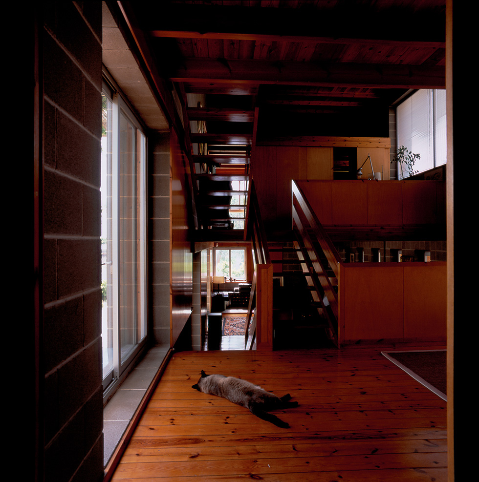 Wooden interior with an open split-level space, a staircase and a Siamese cat lying on the floor near large sliding glass doors. In the background big windows on the lower and upper levels open to the green outside