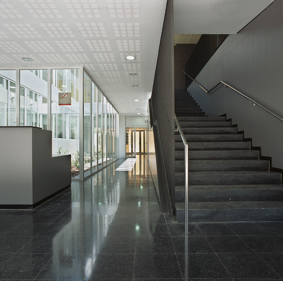 A bright, modern clinic interior featuring a staircase and floor-to-ceiling windows.