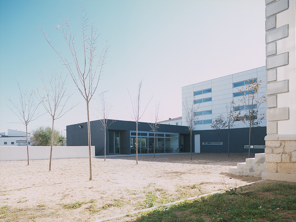 Modern school building with a courtyard and newly planted trees.