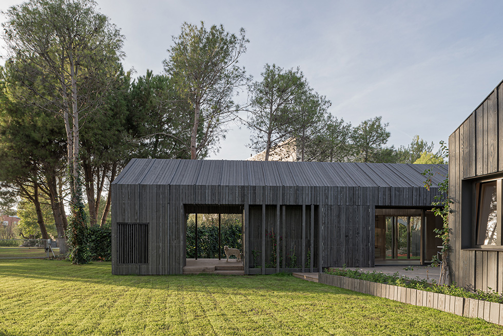 Modern house with a pitched roof, dark wood cladding, large windows, and a spacious lawn, surrounded by pine trees.