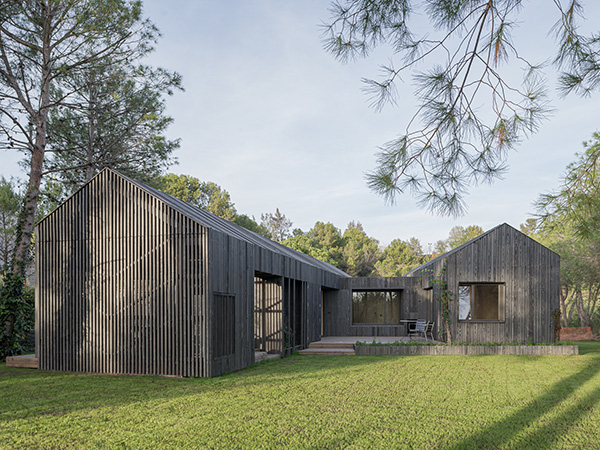 Exterior view of a modern house with two bodies, a pitched roof, dark wood cladding, large windows, and a spacious lawn surrounded by pine trees.