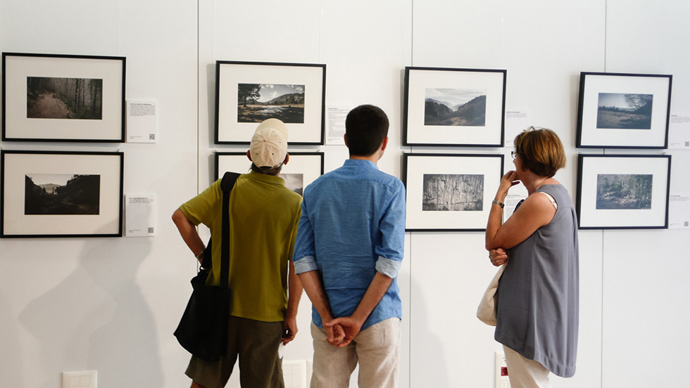 Three people closely examining framed landscape photographs on a gallery wall.