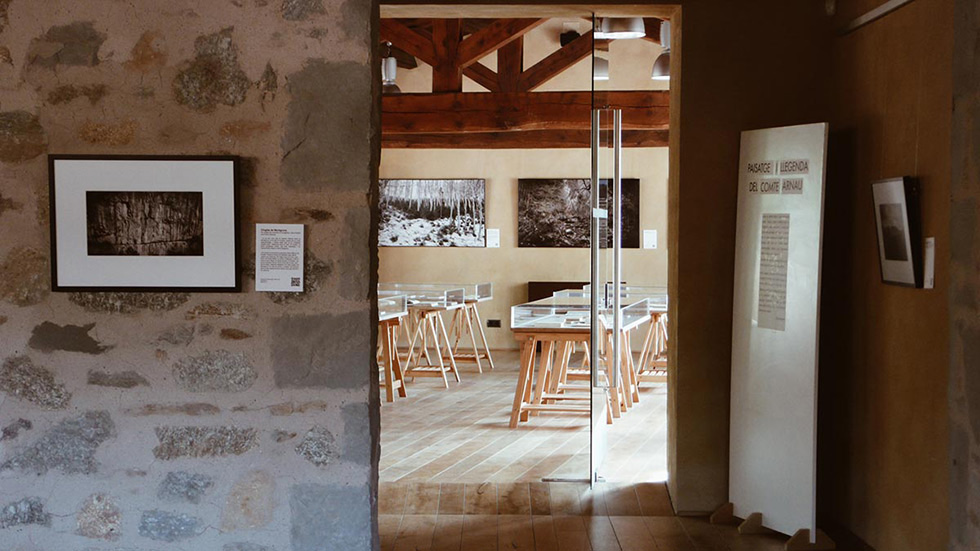 View into a gallery room with framed photos on the walls and display cases on wooden stands.