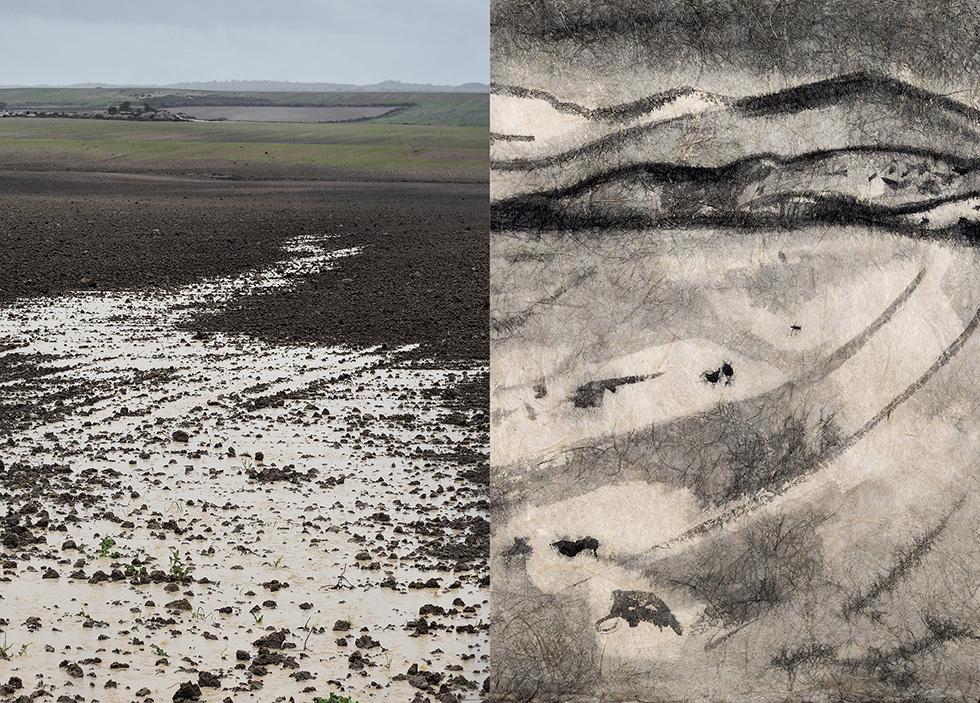 Diptych featuring a landscape photograph of a muddy field on the left and an abstract ink drawing of a similar landscape on the right.