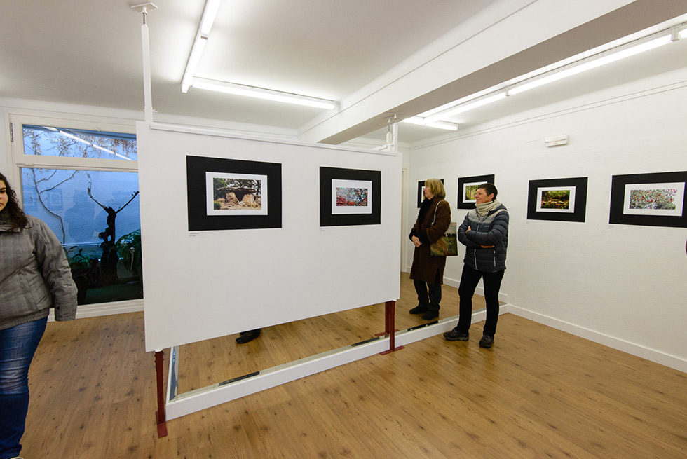 Visitors observing framed photographs displayed on white panels in a gallery with wooden flooring.