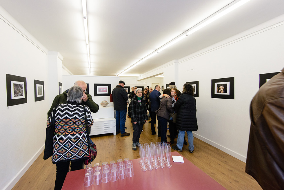 Visitors socializing and viewing framed photographs in a well-lit gallery with wooden flooring.