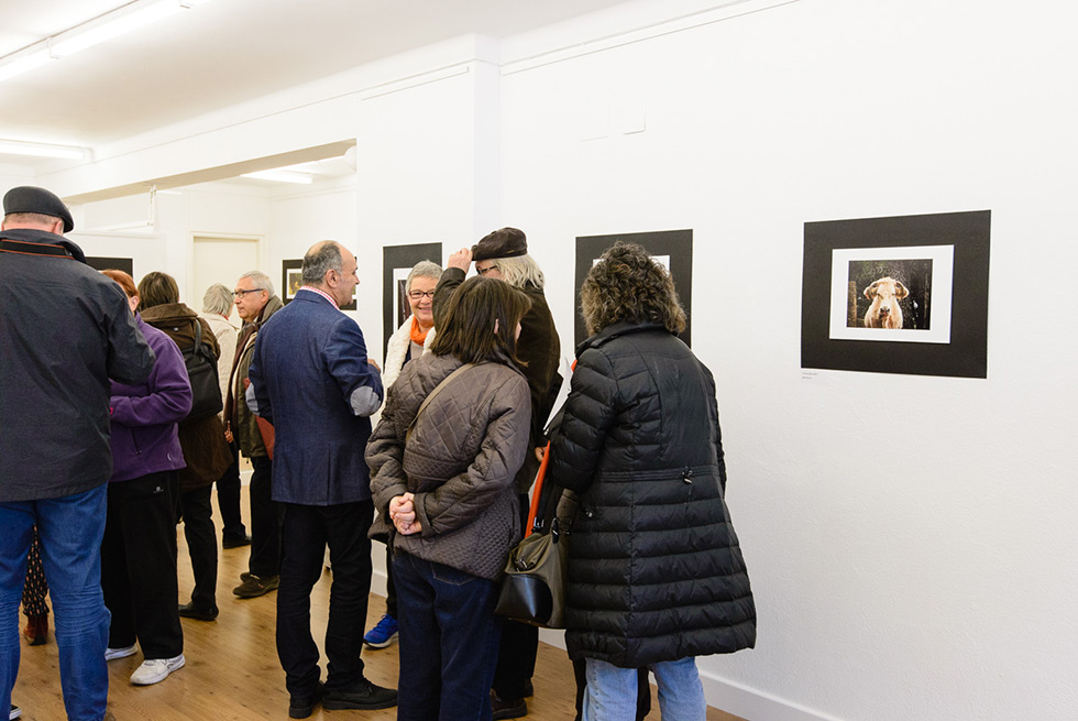 People gathered in a gallery, conversing and viewing framed photographs on the wall.