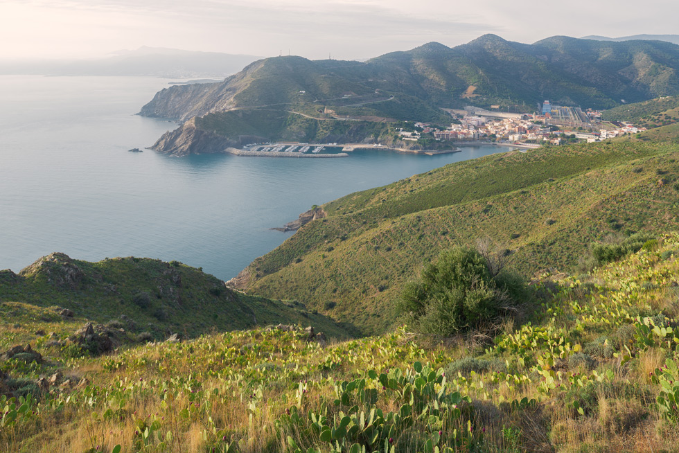 A scenic coastal view featuring green hills, plenty of fig opuntia cactus, descending towards the sea, with a small town and marina nestled in a bay surrounded by rugged mountains.