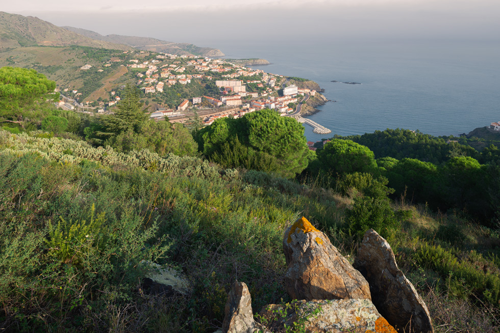 A coastal town surrounded by green hills, with a lichen covered rock in the foreground and lush vegetation leading down to the sea, where the town is nestled along the coastline.