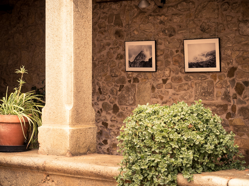 Two framed photographs displayed on a rustic stone wall, with a stone column, potted plants and greenery in the foreground.