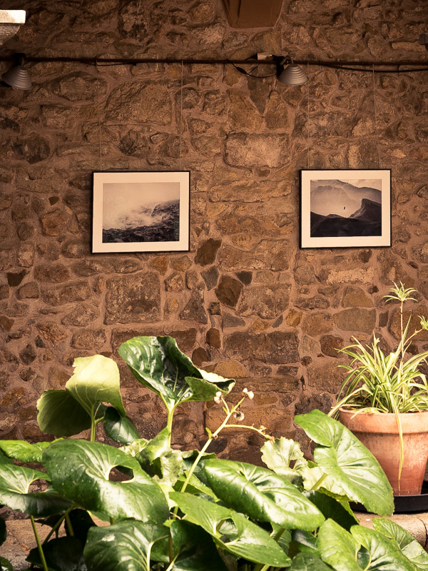 Two framed photographs displayed on a stone wall, with green potted plants in the foreground.