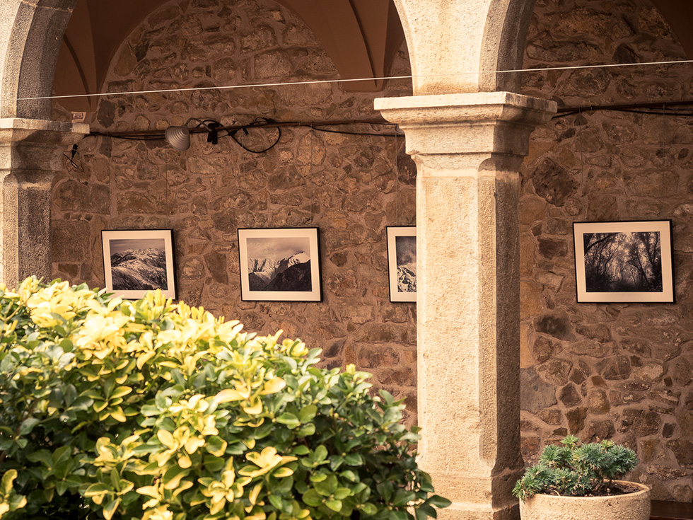 Four framed photographs are displayed on a stone wall, viewed through an archway, with green foliage in the foreground.