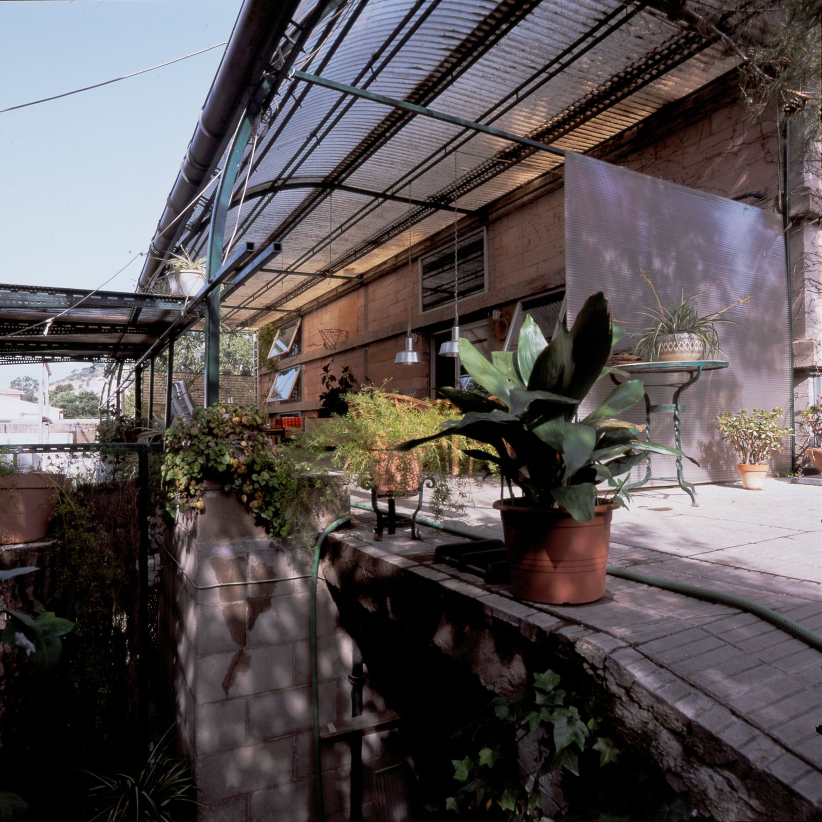 Área exterior en terrazas con techo arqueado translúcido, varias plantas en macetas, mesa de comedor de madera con sillas de mimbre.
