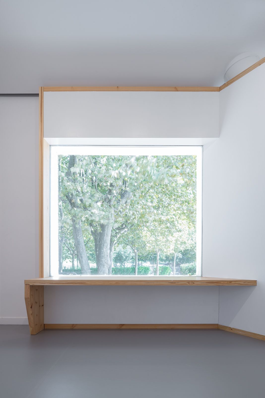 View through a large window with a wooden frame, showcasing trees and greenery outside.