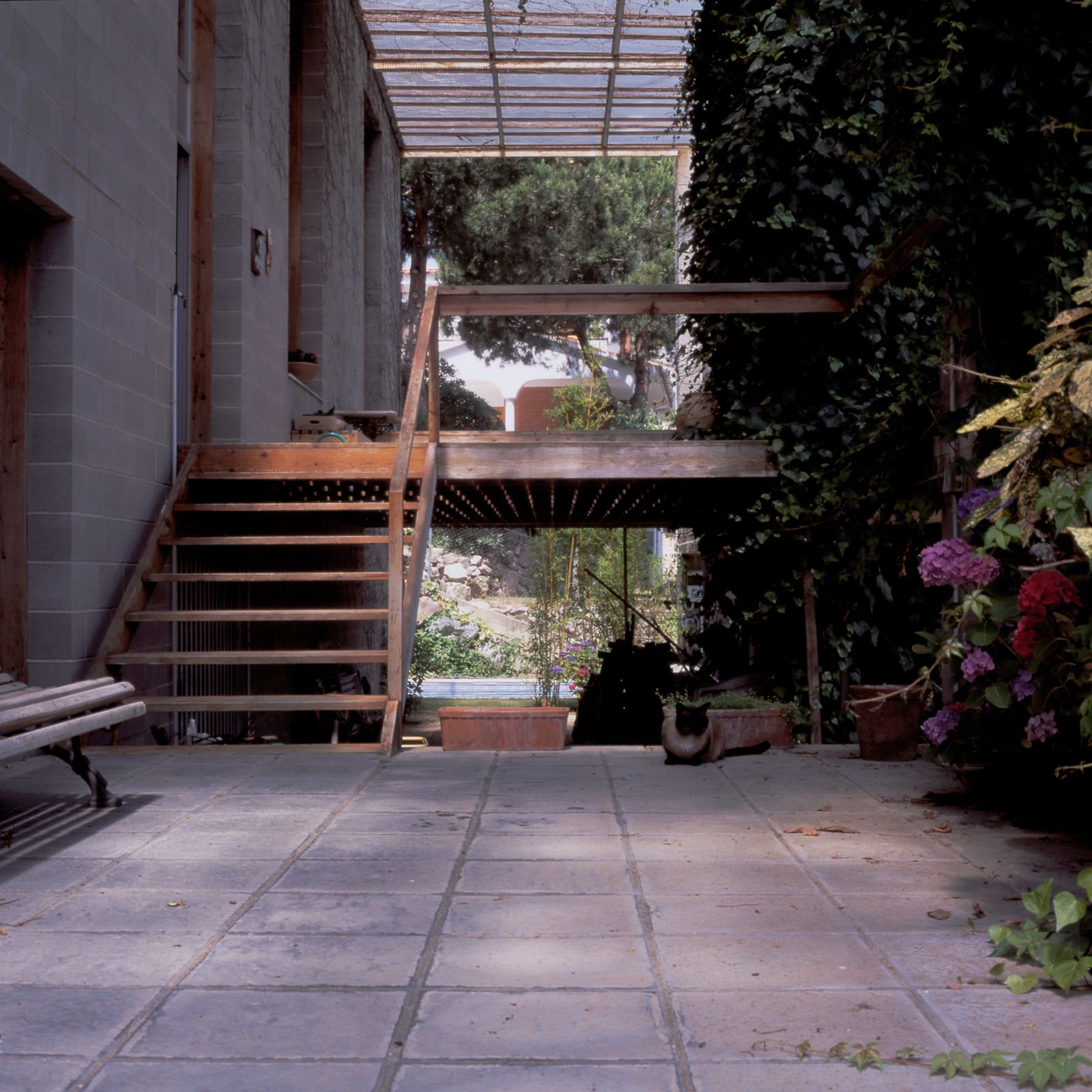 Covered outdoor area with a staircase leading to a wooden deck, surrounded by lush greenery and potted plants. A Siamese cat sits beside the stairs.