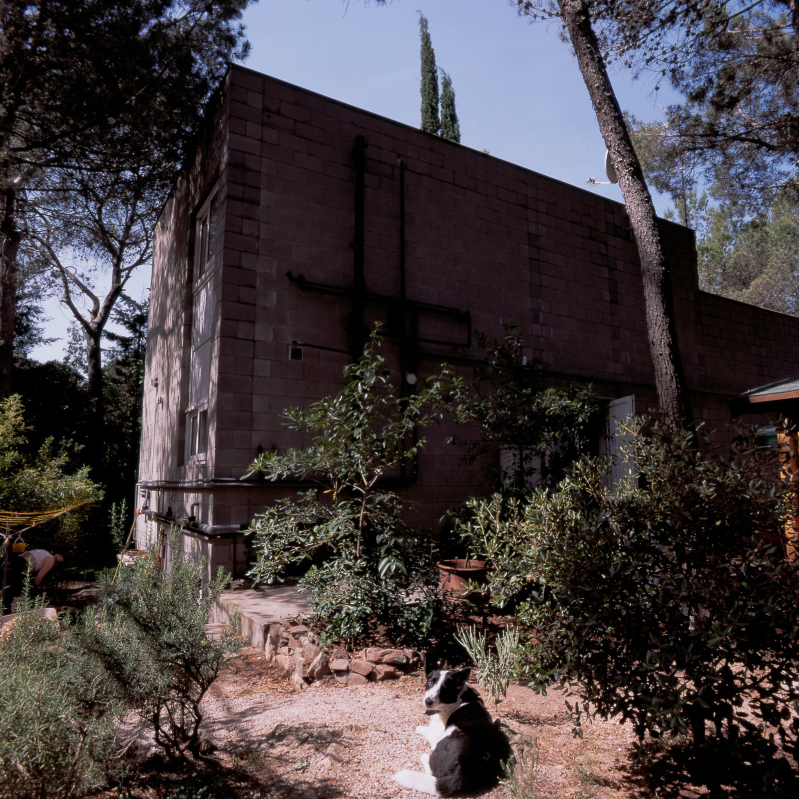 Vista exterior de una casa de bloques de hormigón rodeada de exuberante vegetación, con un perro tumbado en el suelo en primer plano y árboles proporcionando sombra al fondo.