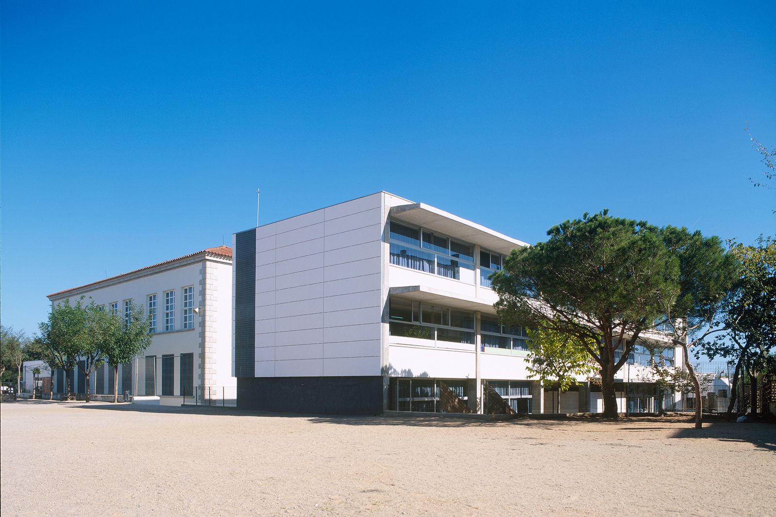Modern school building with trees in the courtyard.