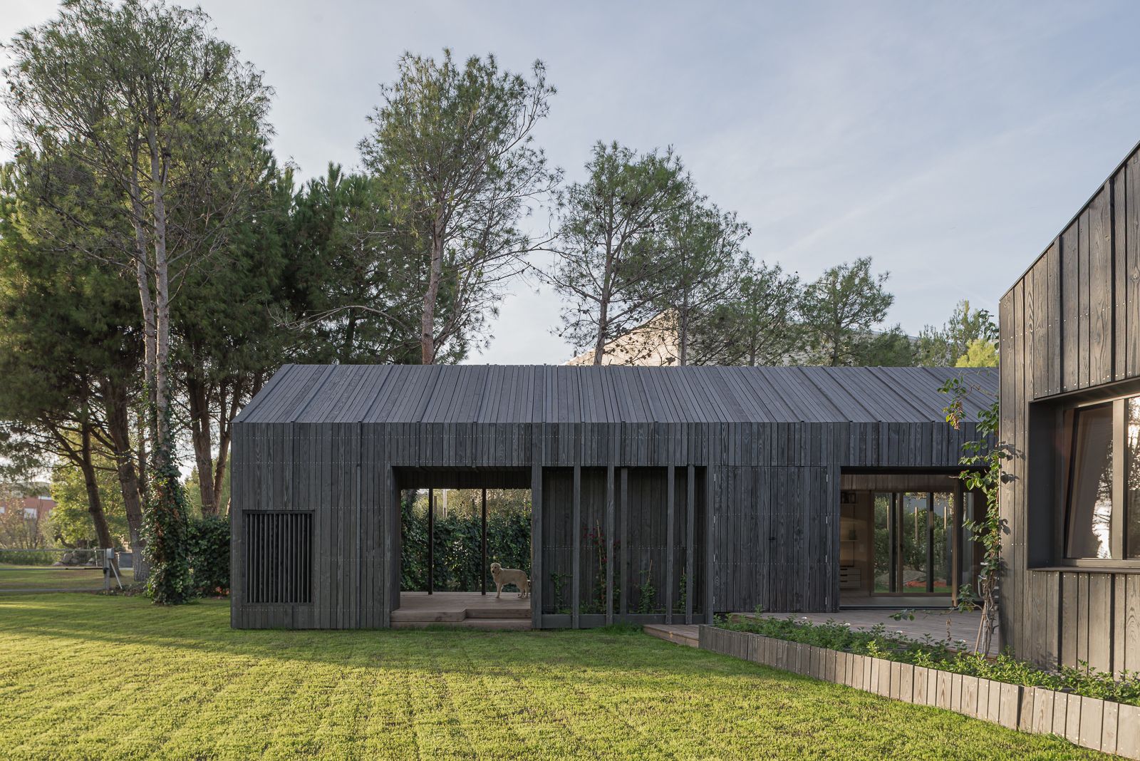 Casa moderna con techo inclinado, revestimiento de madera oscura, grandes ventanas y un amplio césped, rodeada de pinos.