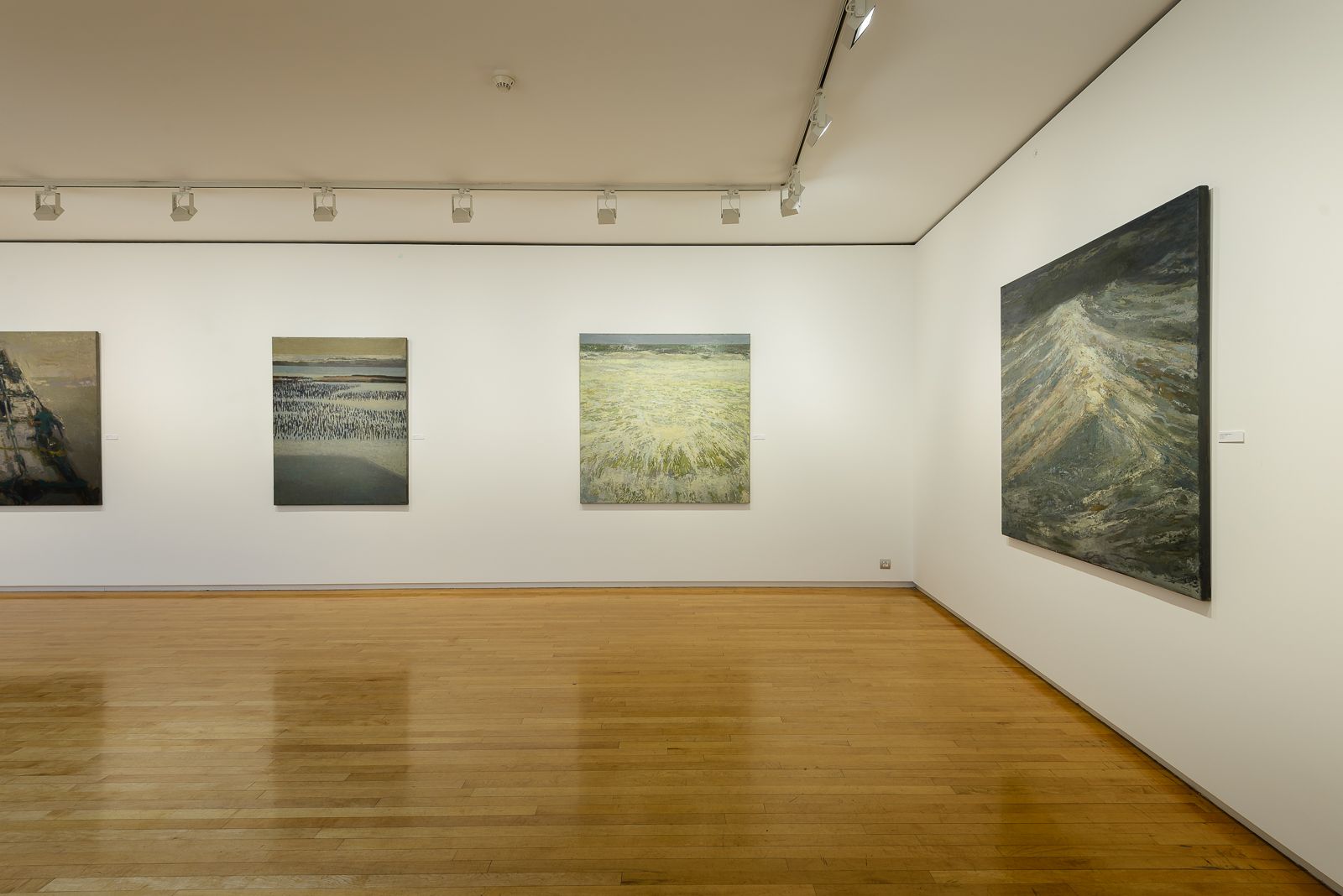 Primer plano de pinturas de paisajes marinos en una galería con suelos de madera, paredes blancas e iluminación de riel superior.