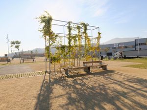 Un parc amb enreixats metàl·lics que suporten plantes enfiladisses, bancs, camins i arbres joves, amb un edifici i muntanyes al fons.